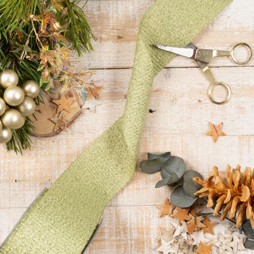 Decorative ribbon with glitter, wide ribbon for gift wrapping, 55mm wide, 15m long | Floristik24.ie