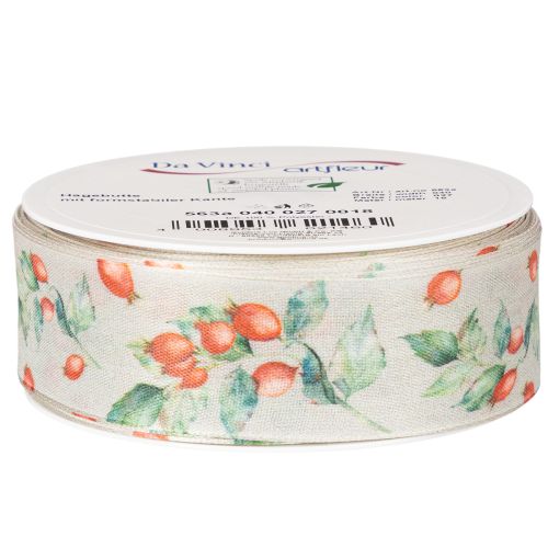 Gift ribbon, autumn design with rosehips and leaves, 40mm x 18m | Floristik24.ie