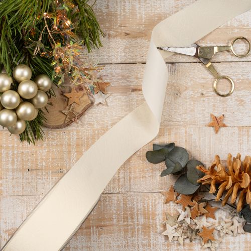 Decorative velvet ribbon, wide, for gifts and crafts, 40mm x 20m | Floristik24.ie