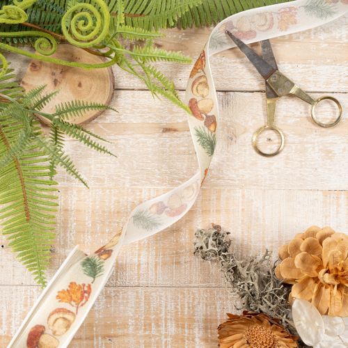 Decorative ribbon with mushroom and autumn leaf motif, 25mm wide, 18m long | Floristik24.ie