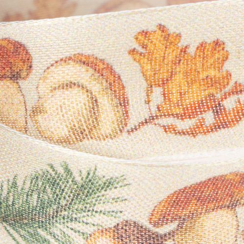 Decorative ribbon with mushroom and autumn leaf motif, 25mm wide, 18m long | Floristik24.ie
