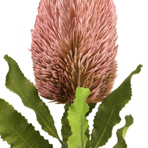 Product Artificial flower Banksia pink autumn decoration commemorative floristry 64cm