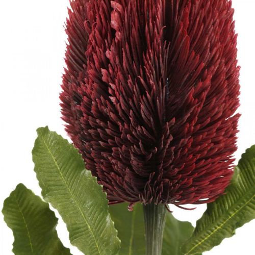 Product Artificial Flower Banksia Red Burgundy Artificial Exotics 64cm