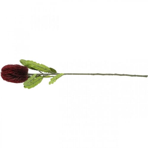 Product Artificial Flower Banksia Red Burgundy Artificial Exotics 64cm