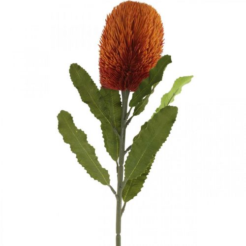 Product Artificial Flower Banksia Orange Autumn Decoration Funeral Flowers 64cm