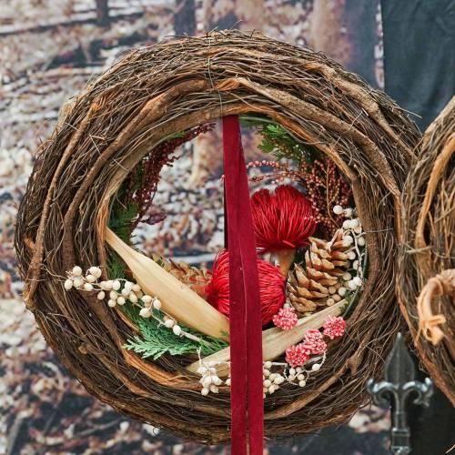 Floristik24 Banksia Baxteri Banksia Exotic Dried Flowers Red 10 Pcs