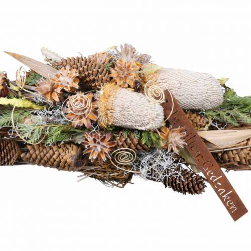 Floristik24 Banksia Hookerana natural 7 pcs