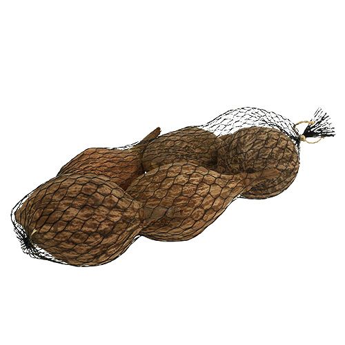Floristik24 Baobab fruit peeled 15cm - 20cm natural 5 pcs
