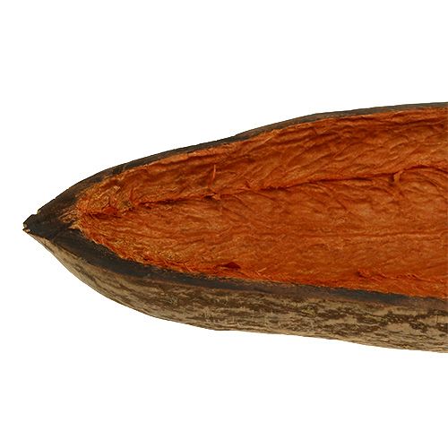 Floristik24 Baobab bowl natural 30cm - 38cm peeled