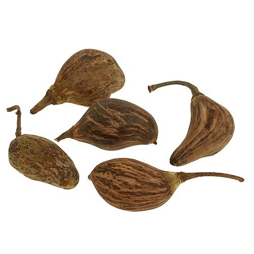 Floristik24 Baobab mini peeled natural 8cm - 12cm 250g