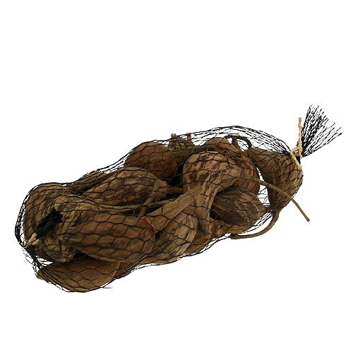 Floristik24 Baobab mini peeled natural 8cm - 12cm 250g