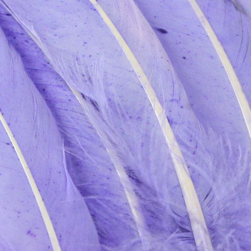 Product Craft Feathers in Purple Goose Feathers Dyed 20g x 2pcs