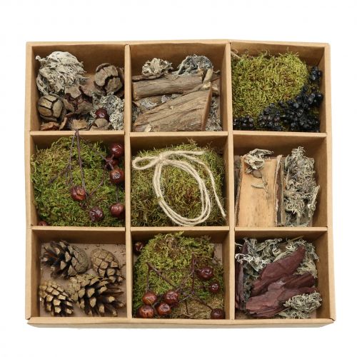 Floristik24 Handicraft set autumn mix