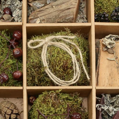 Floristik24 Handicraft set autumn mix