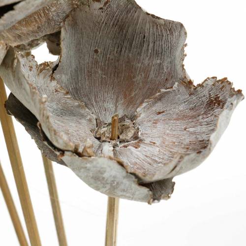 Product Palm Cup on a stick, white washed, 25 pieces