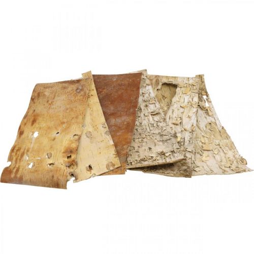 Floristik24 Tree bark decorative bark strips birch bark natural 30×12cm 6 pcs