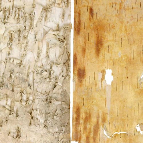 Floristik24 Tree bark decorative bark strips birch bark natural 30×12cm 6 pcs