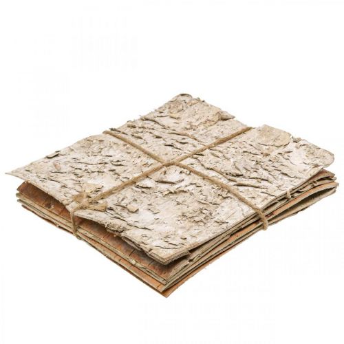 Floristik24 Tree bark decorative bark square birch bark natural 20×20cm 6 pcs