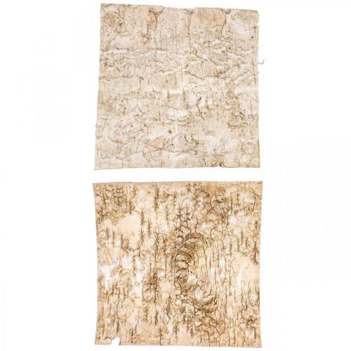 Floristik24 Tree bark decorative bark square birch bark natural 20×20cm 6 pcs