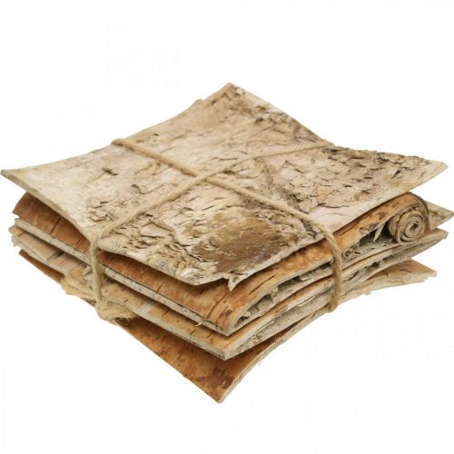 Tree bark decorative bark square birch bark natural 10×10cm 6 pcs