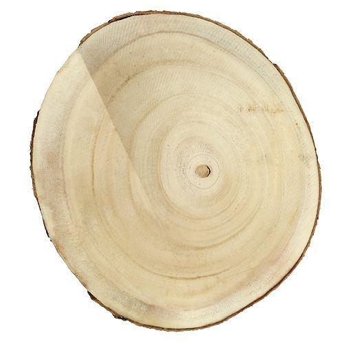 Floristik24 Tree slice nature Ø20cm - 30cm