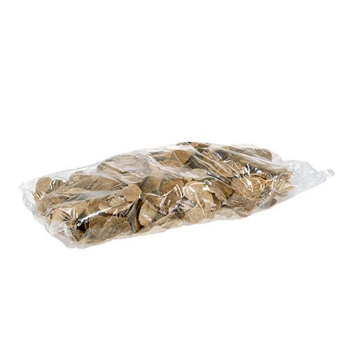 Floristik24 Tree sponge natural 2kg
