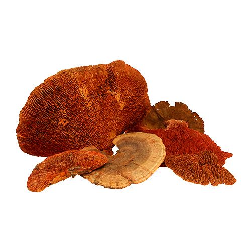 Tree sponge orange 1kg