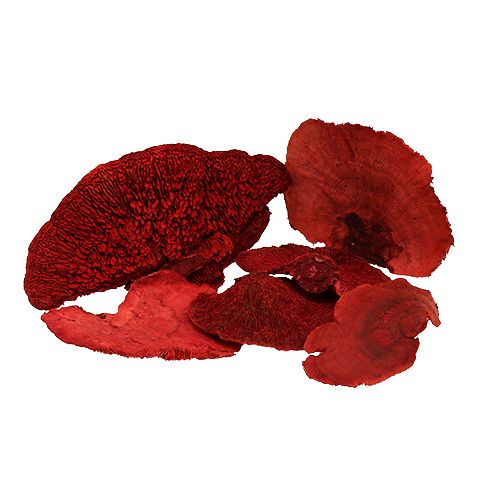 Tree sponge red 1kg