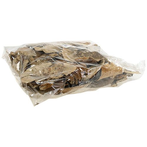 Product Tree Sponge Natural Decorative Mushrooms Dried 6cm 1kg