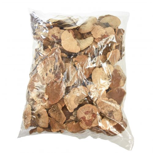 Floristik24 Tree sponge small natural tree mushrooms decoration 4-6cm 1kg