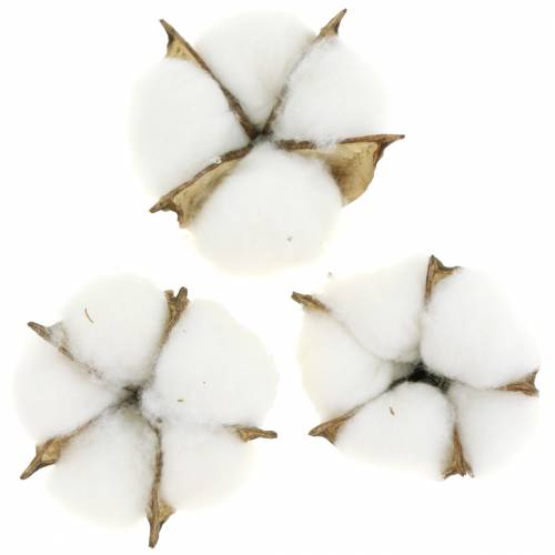 Cotton blossoms 50pcs