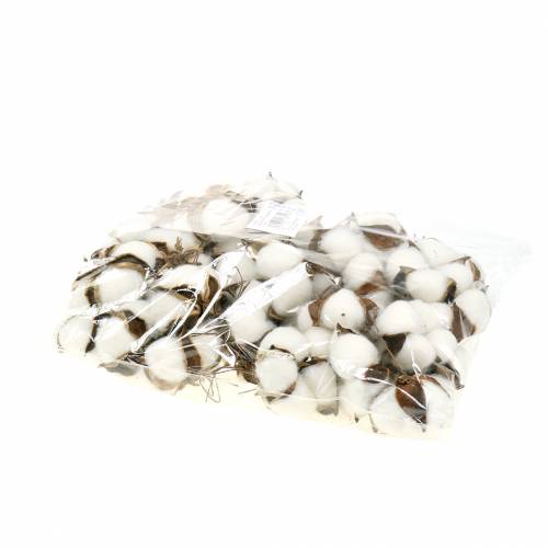 Floristik24 Cotton blossoms 50pcs