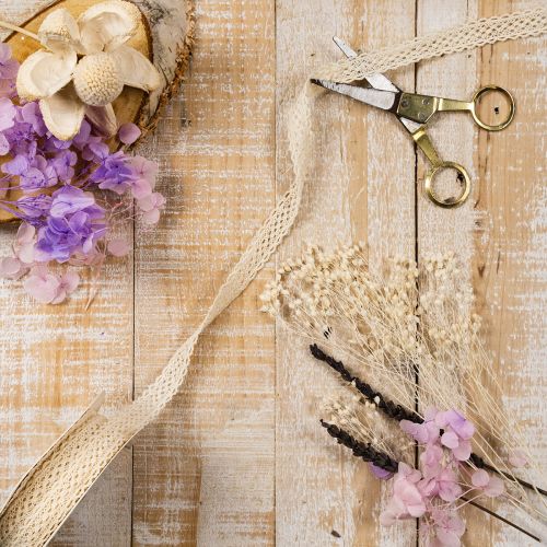 Cotton lace ribbon for decoration and handicrafts, 15mm wide, 10m long | Floristik24.ie