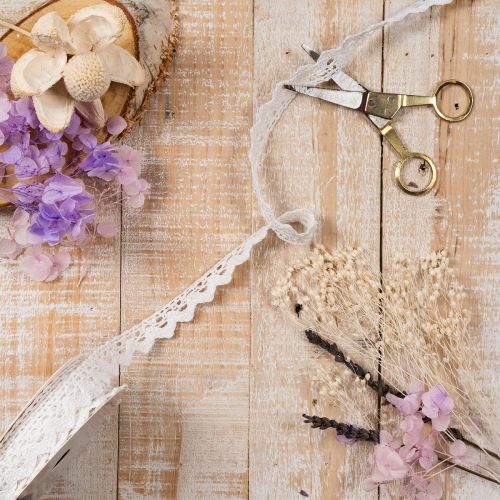 Decorative lace ribbon, fine cotton trim for handicrafts, 15mm wide, 10m long | Floristik24.ie