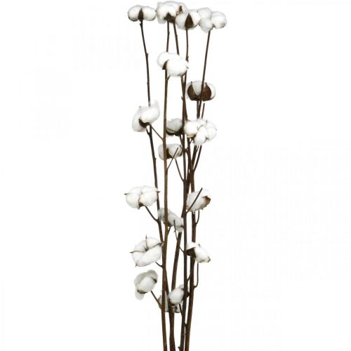 Cotton branch, cotton decorative branch, real cotton L80cm 5 pcs