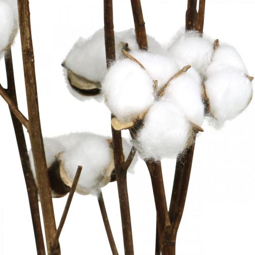 Product Cotton branch, cotton decorative branch, real cotton L80cm 5pcs