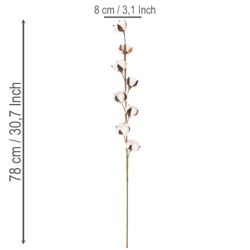 Artificial cotton branch with 8 real flowers, 78cm | Floristik24.ie