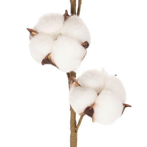 Artificial cotton branch with 8 real flowers, 78cm | Floristik24.ie