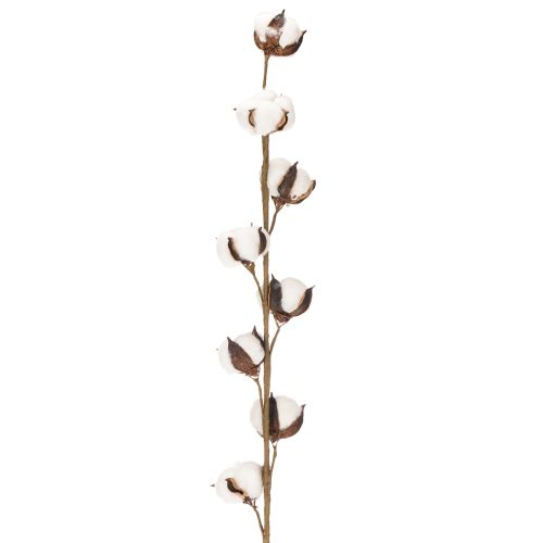 Artificial cotton branch with 8 real flowers, 78cm | Floristik24.ie
