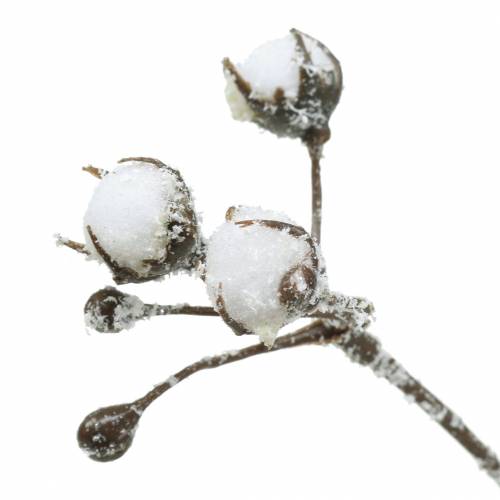 Floristik24 Iced cotton branch 47cm