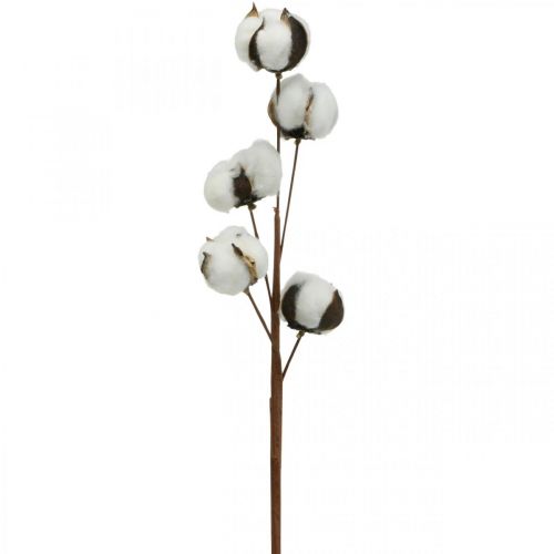 Product Cotton Branch Decoration Real Cotton Decorative Branch 5 Heads 50cm