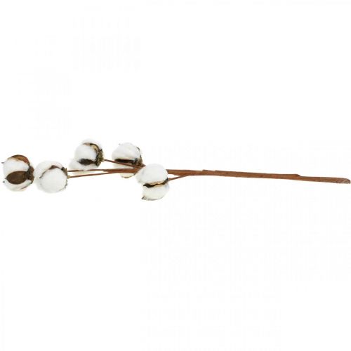 Product Cotton Branch Decoration Real Cotton Decorative Branch 5 Heads 50cm