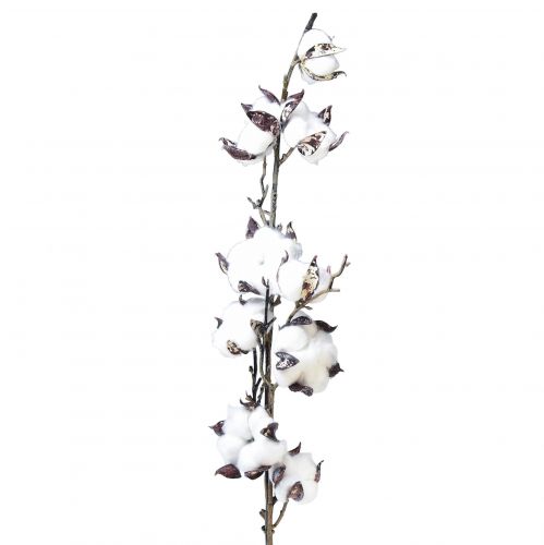 Floristik24 Cotton branch cotton flowers artificial brown white L95cm