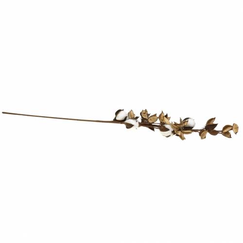 Floristik24 Cotton branch 75cm
