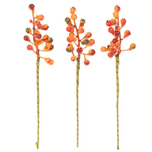 Bunch of orange berries, 20cm long | Floristik24.ie