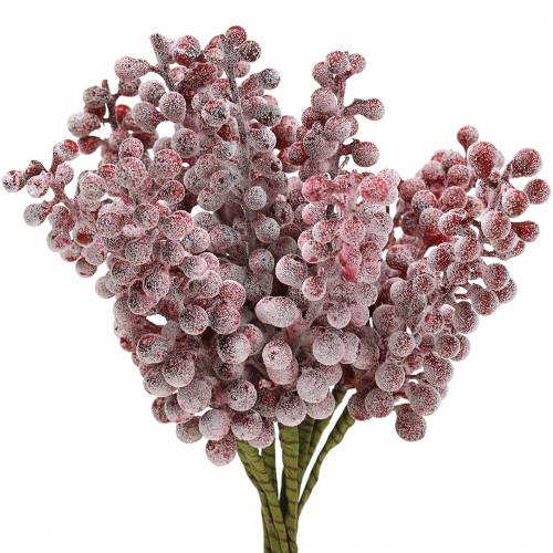 Floristik24 Berry pick red, iced 21cm 12 pcs