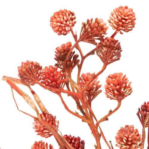 Artificial berry branch, lifelike autumn decoration, 68cm | Floristik24.ie