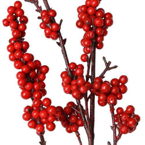 Floristik24 Berry Branch Red Decorative Branch Red Berries Artificial 115cm