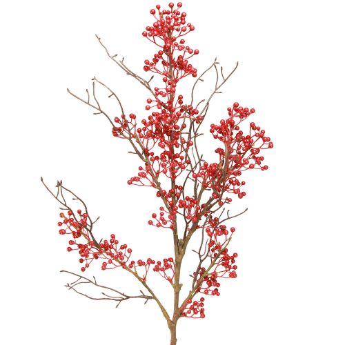 Floristik24 Berry branch red berries branch decoration autumn winter L78cm