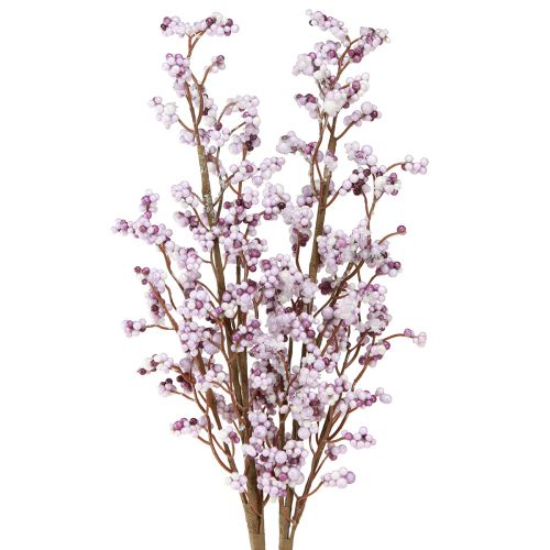 Floristik24 Berry branch Christmas branch purple white frost L60cm 2 pcs